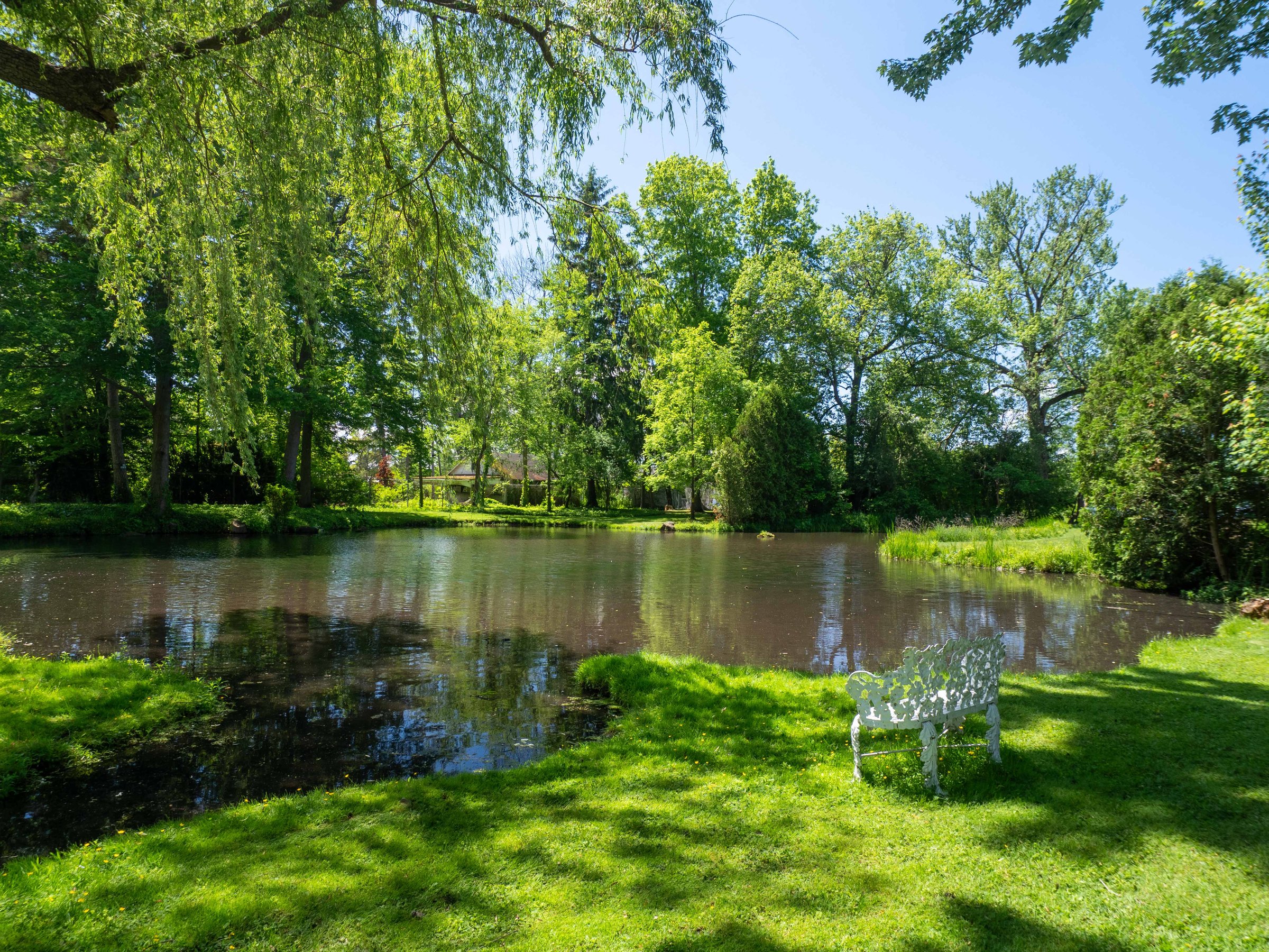 A small pond with a willow tree and iron bench