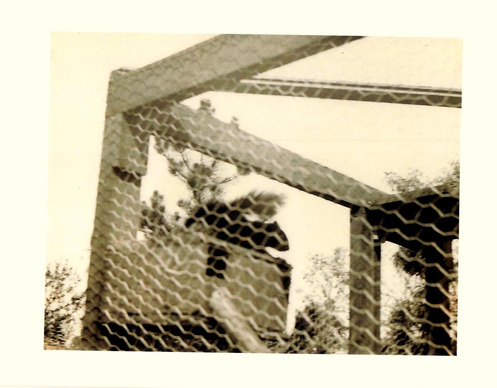 Pergola